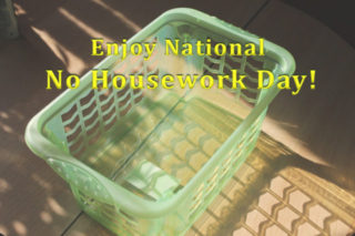 National No Housework Day, Champion Cleaners, Bonita Springs FL, Estero FL, Naples FL